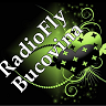Bannerul siteului http://www.radiofly-bucovina.tk
